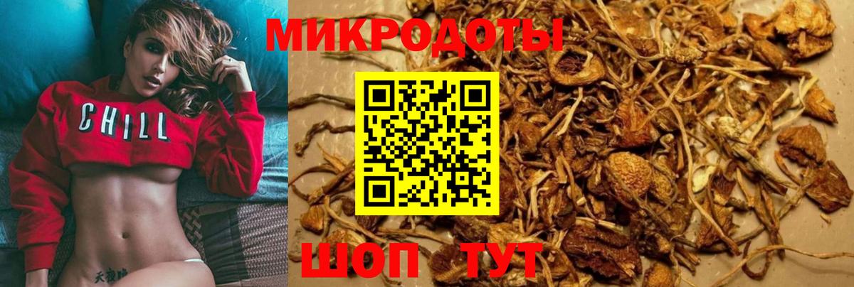 Галлюциногенные грибы MAGIC MUSHROOMS  Вход с VPN  Свободный 